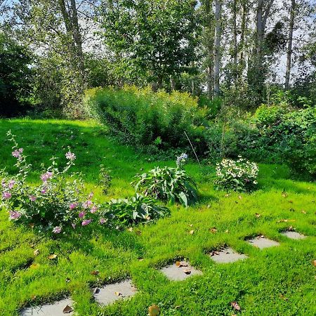 La Yourte Au Fonds Du Jardin Xhoris Buitenkant foto