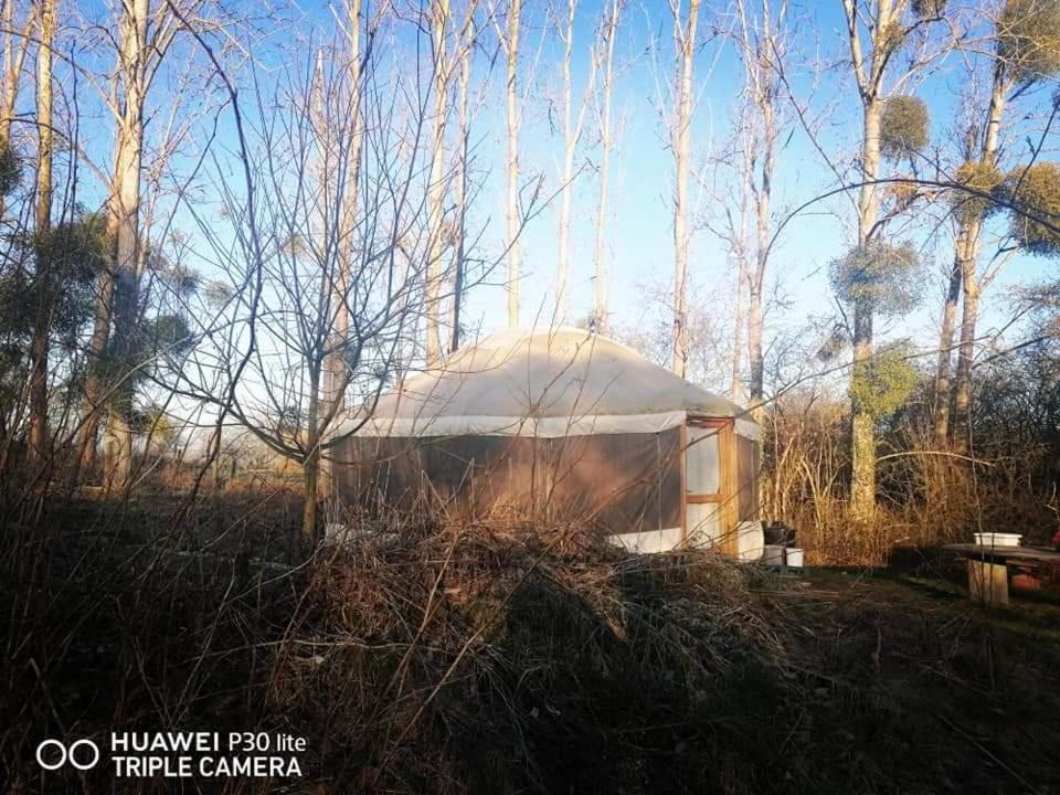 La Yourte Au Fonds Du Jardin Xhoris Buitenkant foto