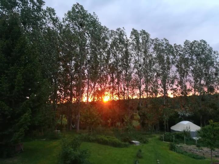 La Yourte Au Fonds Du Jardin Xhoris Buitenkant foto