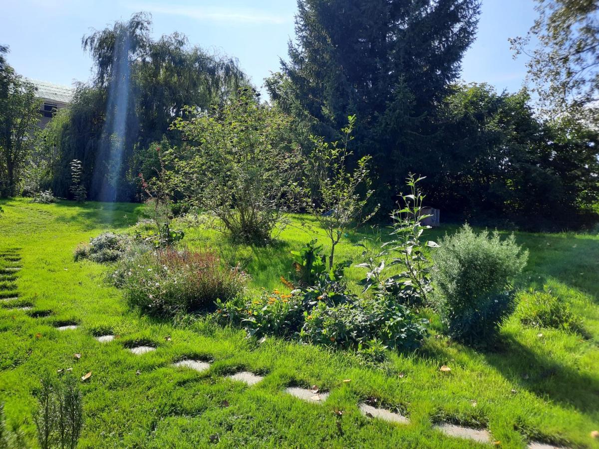 La Yourte Au Fonds Du Jardin Xhoris Buitenkant foto